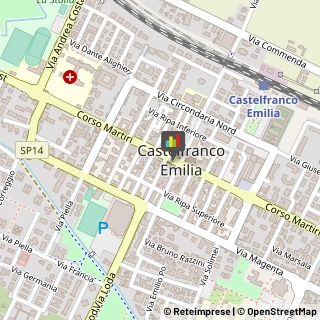 Consulenze Speciali Castelfranco Emilia,41013Modena
