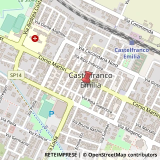 Mappa Via Luigi Zanasi, 30, 41013 Castelfranco Emilia, Modena (Emilia Romagna)