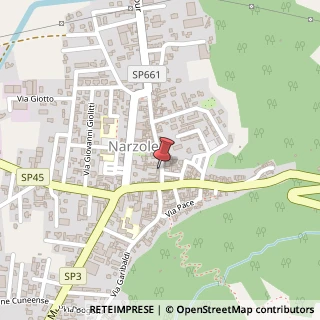 Mappa Piazza Vittorio Emanuele II, 8, 12068 Narzole, Cuneo (Piemonte)