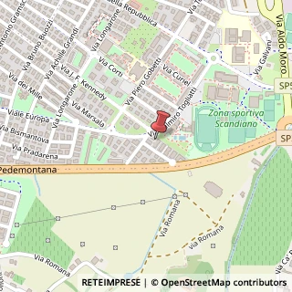 Mappa Via Rossi Ernesto, 13, 42019 Scandiano, Reggio nell'Emilia (Emilia Romagna)