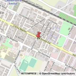 Mappa Via Palestro, 3, 41013 Castelfranco Emilia, Modena (Emilia Romagna)