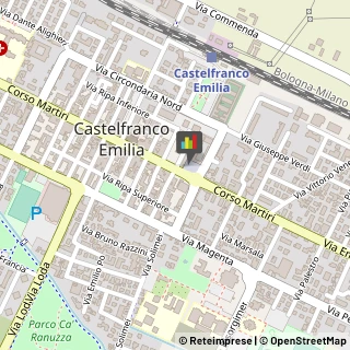 Logopedia Castelfranco Emilia,41013Modena