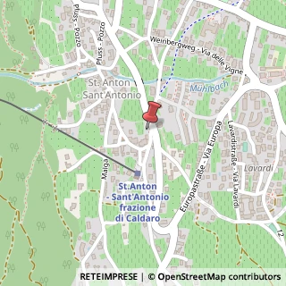 Mappa Via San Antonio, 53, 39052 Caldaro sulla Strada del Vino, Bolzano (Trentino-Alto Adige)