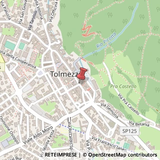 Mappa Piazza mazzini 12, 33028 Tolmezzo, Udine (Friuli-Venezia Giulia)