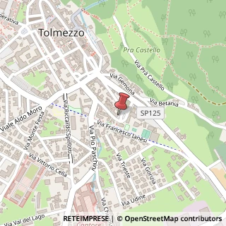 Mappa Piazzale Vittorio Veneto, 3, 33028 Tolmezzo, Udine (Friuli-Venezia Giulia)