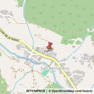 Mappa Frazione San Bernardo, 142, 38020 Rabbi, Trento (Trentino-Alto Adige)
