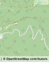 Tabaccherie Sarnonico,38011Trento