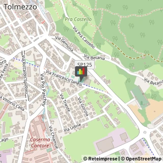 Tipografie Tolmezzo,33028Udine