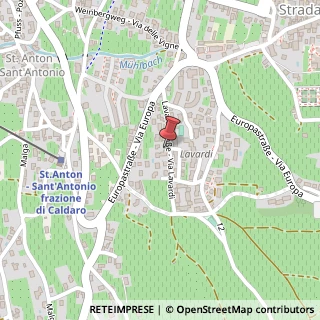 Mappa Via Lavardi, 13, 39052 Caldaro sulla Strada del Vino, Bolzano (Trentino-Alto Adige)