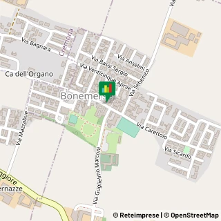 Mappa Via Roma, 30, 26040 Bonemerse, Cremona (Lombardia)