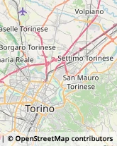 Articoli per Ortopedia Torino,10154Torino