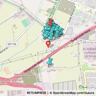 Mappa Via Villa Cristina, 10093 Collegno TO, Italia (0.31071)