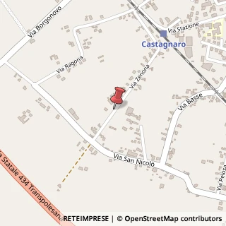 Mappa Via Zenona,  38, 37043 Castagnaro, Verona (Veneto)