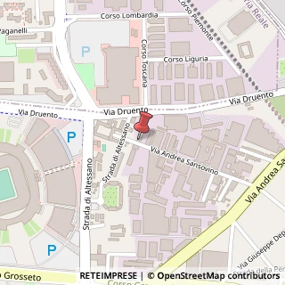 Mappa Via Andrea Sansovino, 243, 10151 Torino, Torino (Piemonte)
