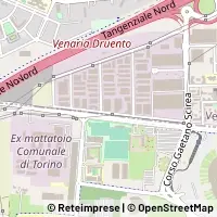 Map Venaria Reale