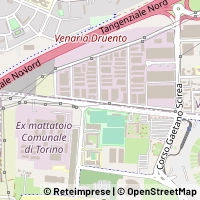 지도 Venaria Reale