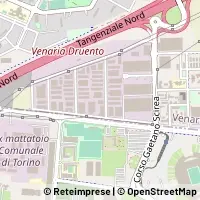Karte Venaria Reale