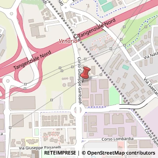 Mappa Corso Giuseppe Garibaldi, 167, 10078 Venaria Reale, Torino (Piemonte)