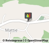 Fabbri Mattie,10050Torino