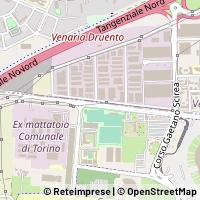 Carte Venaria Reale