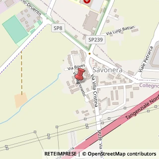Mappa Via Martinetto, 4, 10040 Collegno, Torino (Piemonte)