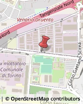 Via Druento, 274,10078Venaria Reale