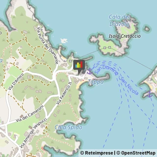 Legna da ardere Isole Tremiti,71040Foggia