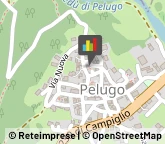 Geometri Pelugo,38079Trento