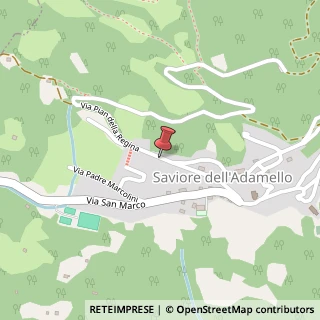 Mappa Via Pian della Regina, 24, 25040 Saviore dell'Adamello, Brescia (Lombardia)
