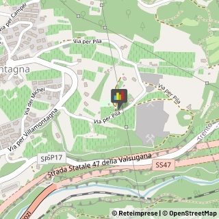 Animali Domestici - Centri Allevamento e Addestramento,38121Trento