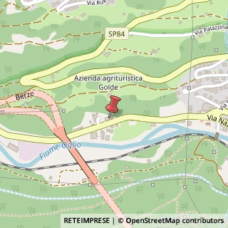 Mappa Via Novara, 117-119, 25040 Berzo Demo, Brescia (Lombardia)