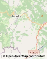 Autotrasporti Amelia,05022Terni