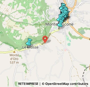 Mappa Via San Francesco, 01027 Montefiascone VT, Italia (1.319)