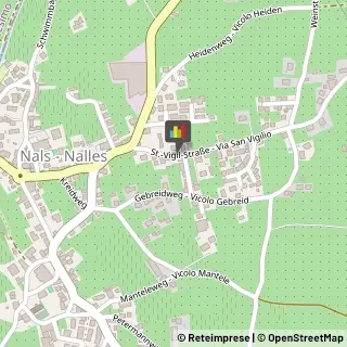 Succhi di Frutta e Verdura Nalles,39010Bolzano