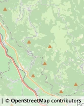 Associazioni ed Organizzazioni Religiose Lagundo,39022Bolzano