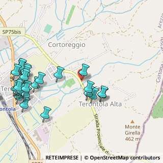 Mappa Località Terontola Alta, 52044 Cortona AR, Italia (0.6963)