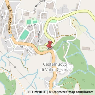 Mappa Corso Giacomo Matteotti, 234, 56040 Castelnuovo di Val di Cecina, Pisa (Toscana)