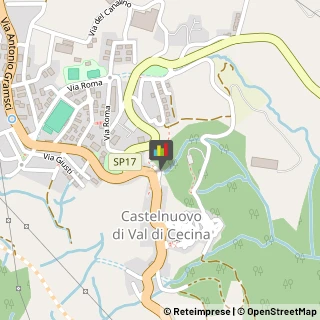 Associazioni ed Istituti di Previdenza ed Assistenza Castelnuovo di Val di Cecina,56041Pisa