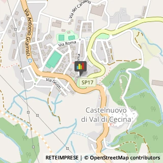 Banche e Istituti di Credito Castelnuovo di Val di Cecina,56041Pisa