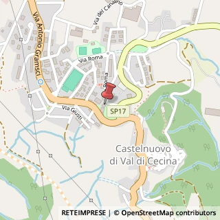 Mappa Via Repubblica, 49, 56041 Castelnuovo di Val di Cecina, Pisa (Toscana)