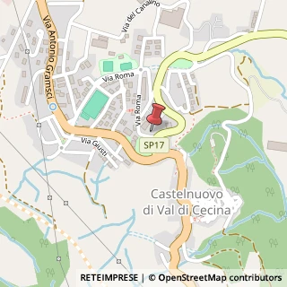 Mappa Piazza Giacomo Matteotti, 10, 56041 Castelnuovo di Val di Cecina, Pisa (Toscana)