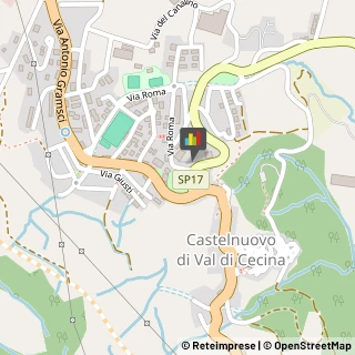 Associazioni Culturali, Artistiche e Ricreative Castelnuovo di Val di Cecina,56041Pisa