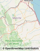 Enoteche Macerata,62100Macerata