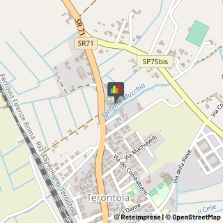 Fisiokinesiterapia - Medici Specialisti Cortona,52044Arezzo