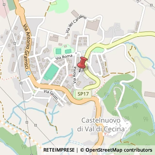 Mappa Via Pascoli,  8, 56125 Castelnuovo di Val di Cecina, Pisa (Toscana)