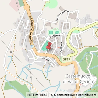 Mappa Via Giosuè Carducci, 6, 56041 Castelnuovo di Val di Cecina, Pisa (Toscana)