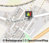 Podologia - Studi e Centri Poggio Rusco,46025Mantova