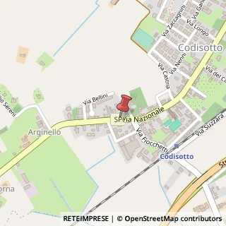 Mappa Strada Nazionale, 55, 42045 Luzzara, Mantova (Lombardia)