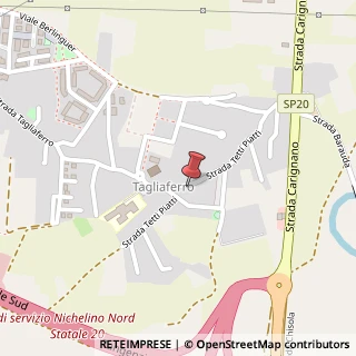 Mappa Via Tetti Piatti, 52, 10024 Moncalieri, Torino (Piemonte)