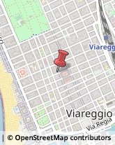 Via S. Martino, 112,55049Viareggio